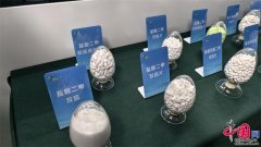 山东“冠军制制”实力出圈：大而全建根底 精且