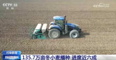 <strong>“农机+农技”“机械+人工”提质增效 秋</strong>